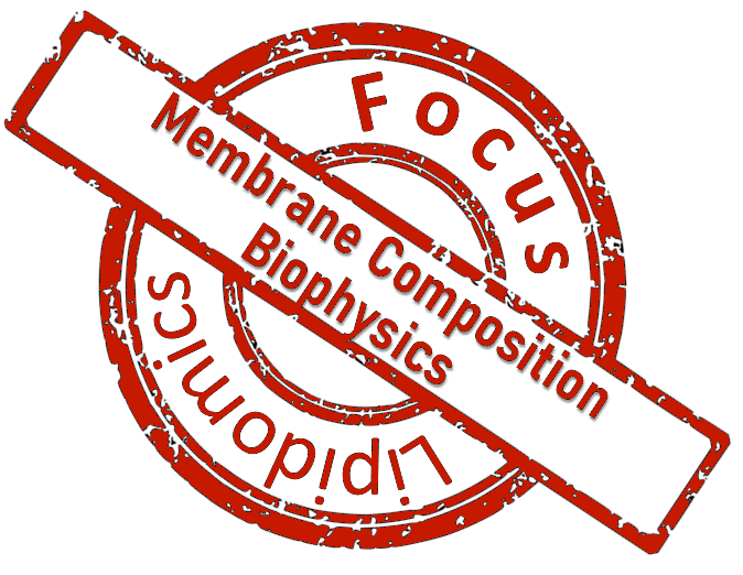 260303 Focus Stamp red